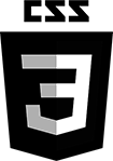 css3